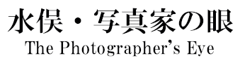 水俣・写真家の眼